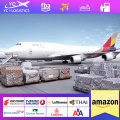 Professional door to door DDP DDU dropshipping from China to UAE EUROPE air freight FBA Amazon shipping agent